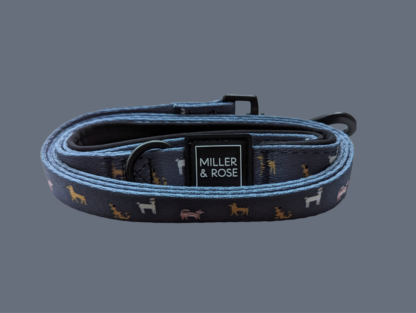 Dapper Dogs Classic Lead image 2