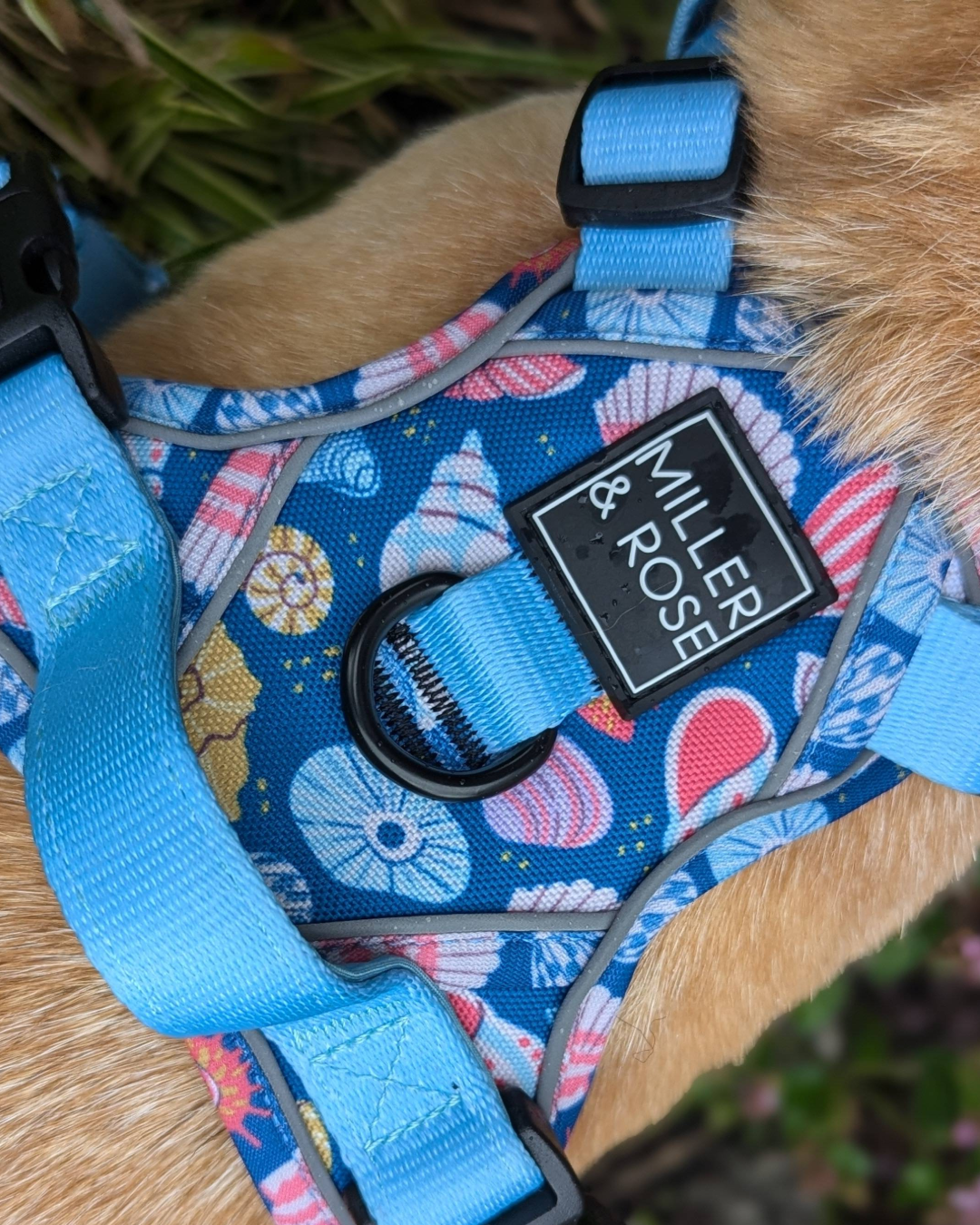SEASHELLS - Ruff & Tough Harness image 9