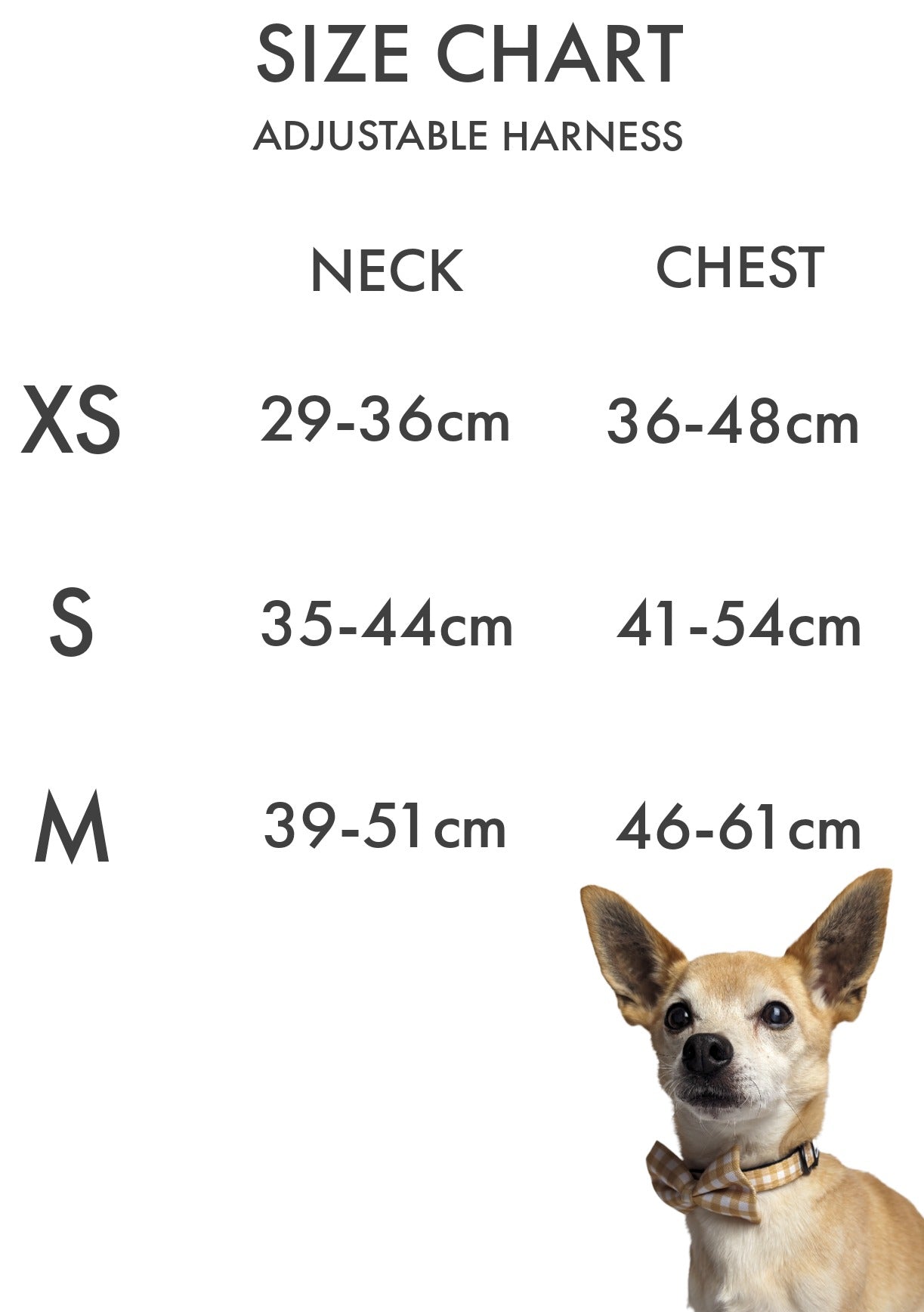 Hello Mr Fox Classic Harness image 4