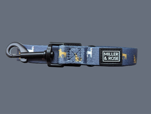 Dapper Dogs Classic Lead image 1