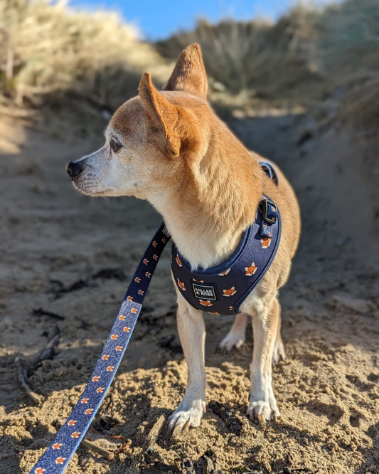 Hello Mr Fox Classic Harness image 1