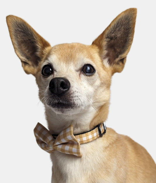 Golden Gingham Bow Tie image 1
