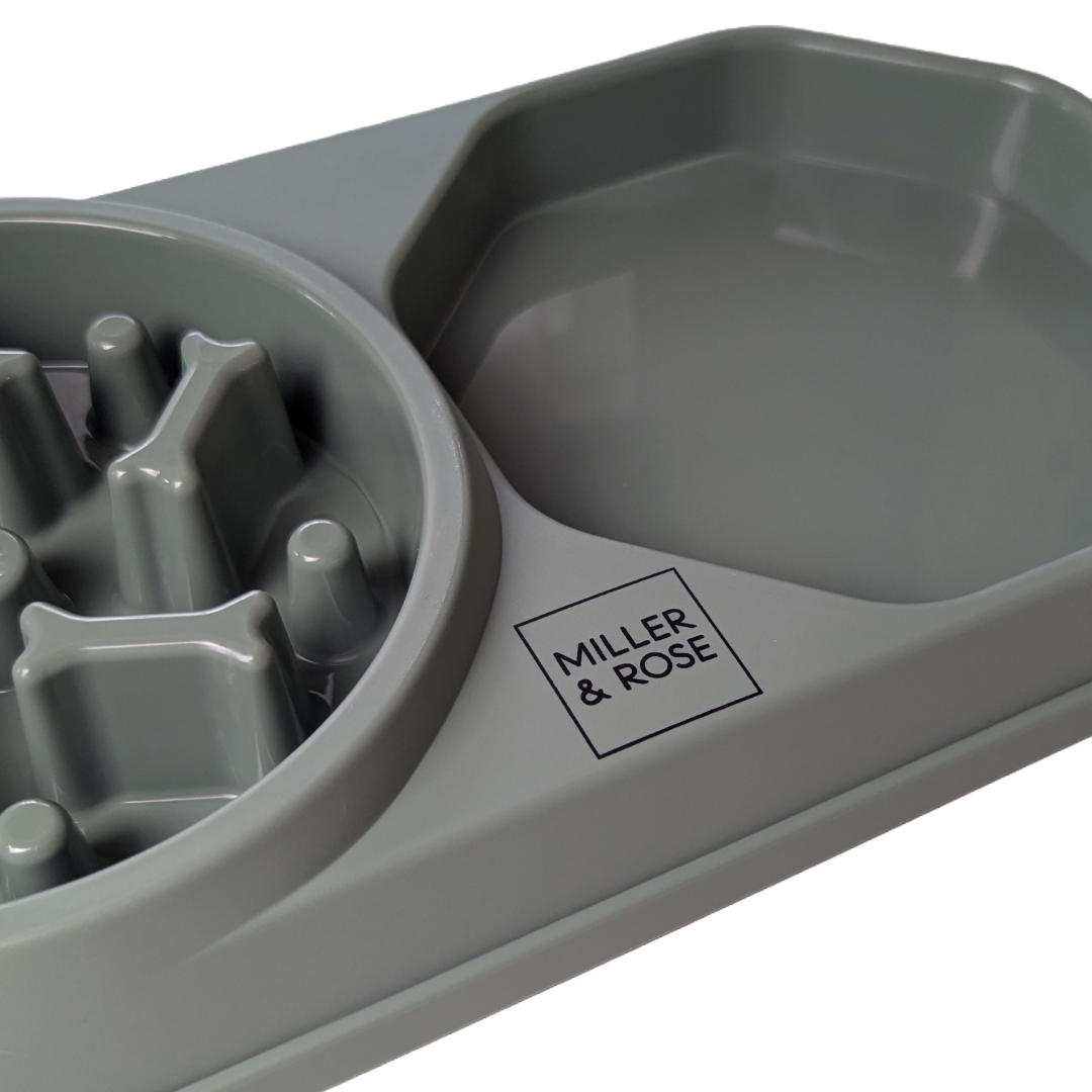 4-in-1 Sage Green Slow Feeder image 3