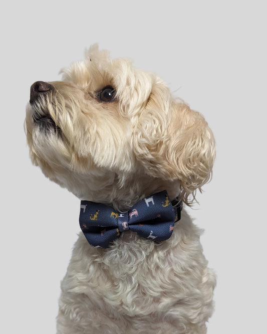 Dapper Dogs Bow Tie image 1