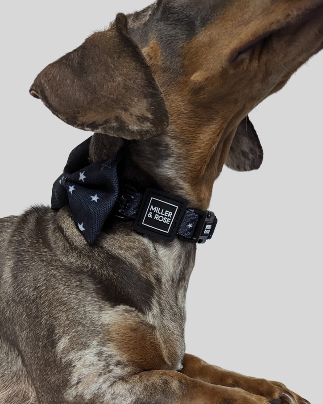 Twinkle Twinkle Bow Tie image 2