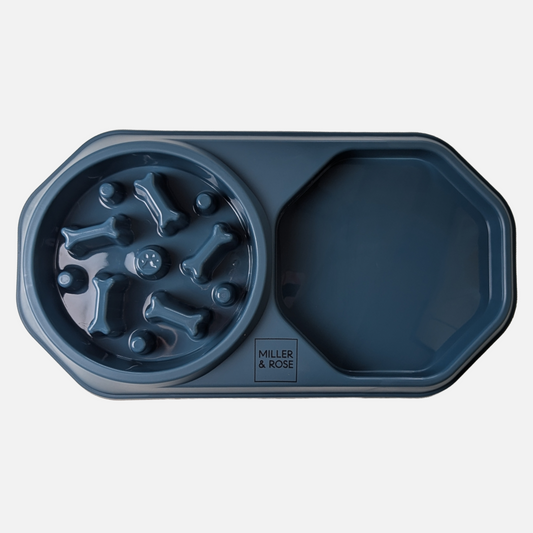 4-in-1 Midnight Blue Slow Feeder image 1