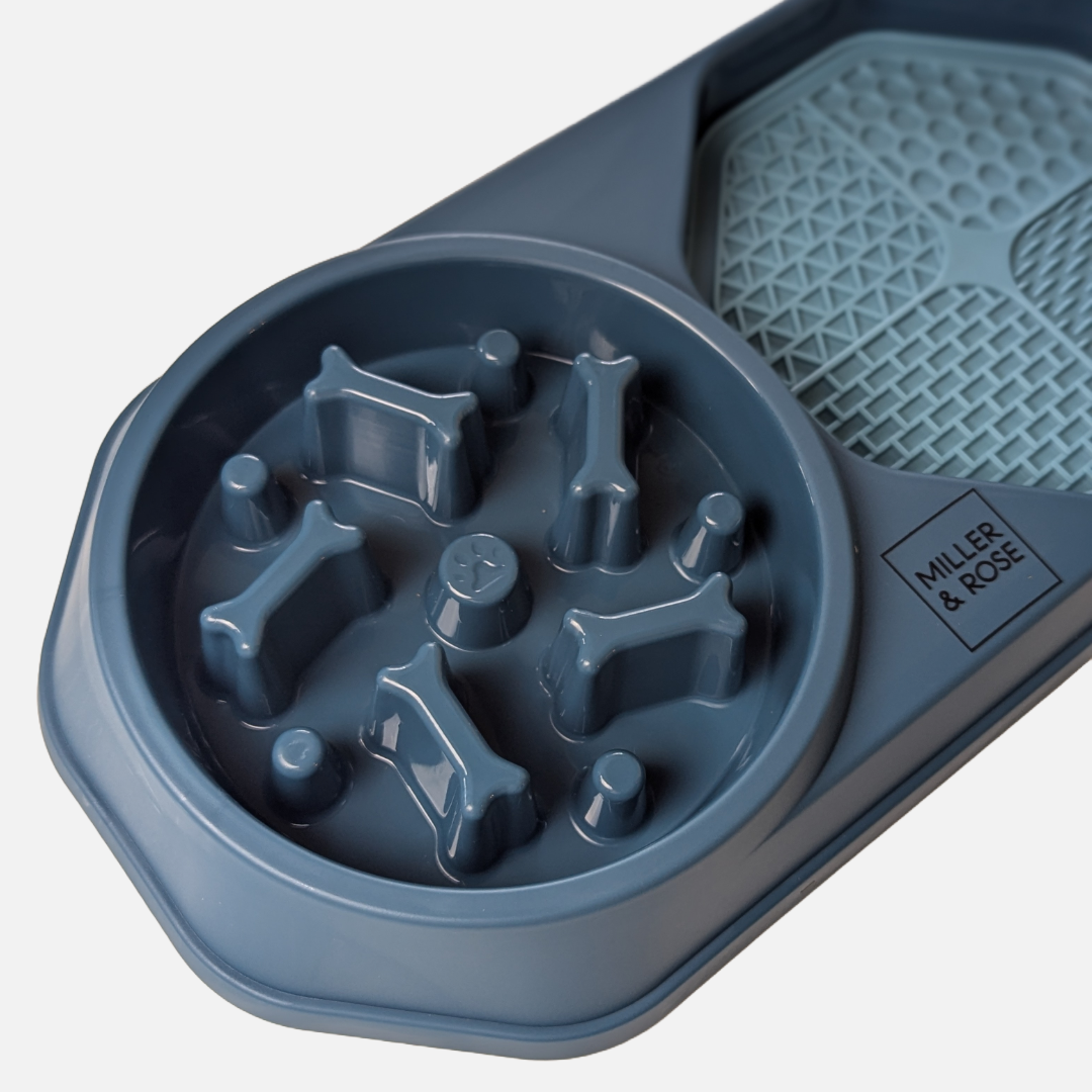 4-in-1 Midnight Blue Slow Feeder image 4
