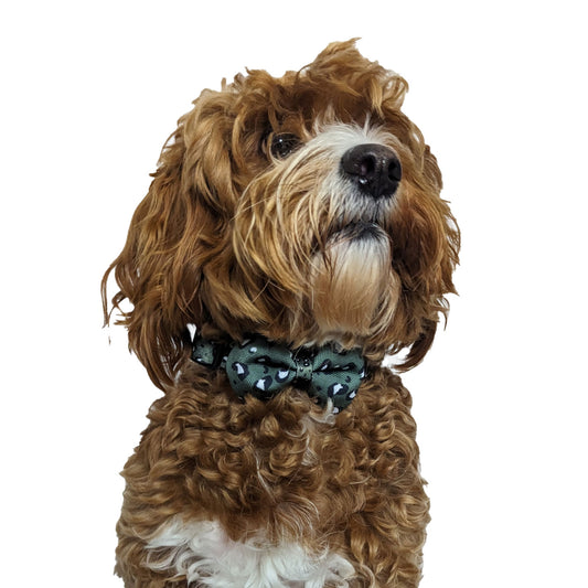 Olive Leopard Bow Tie image 1