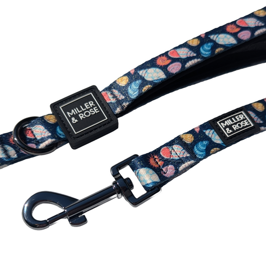 Seashells Classic Lead image 1