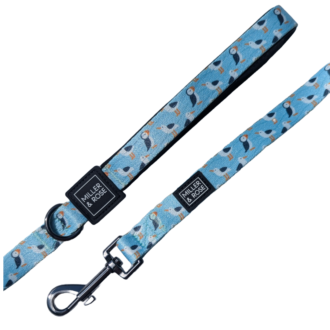 Seabirds Classic Lead image 1