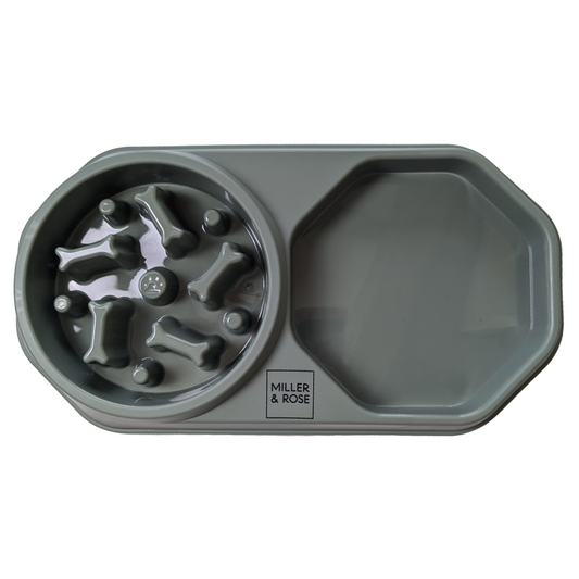 4-in-1 Sage Green Slow Feeder image 1