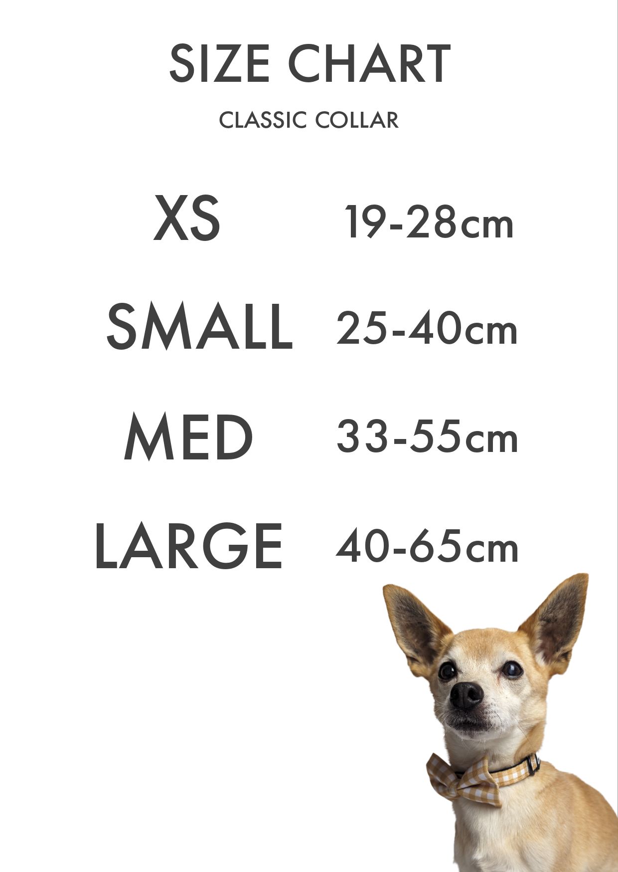 Hello Mr Fox Classic Collar image 2