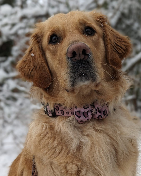 RoseLeopard Bow Tie image 1