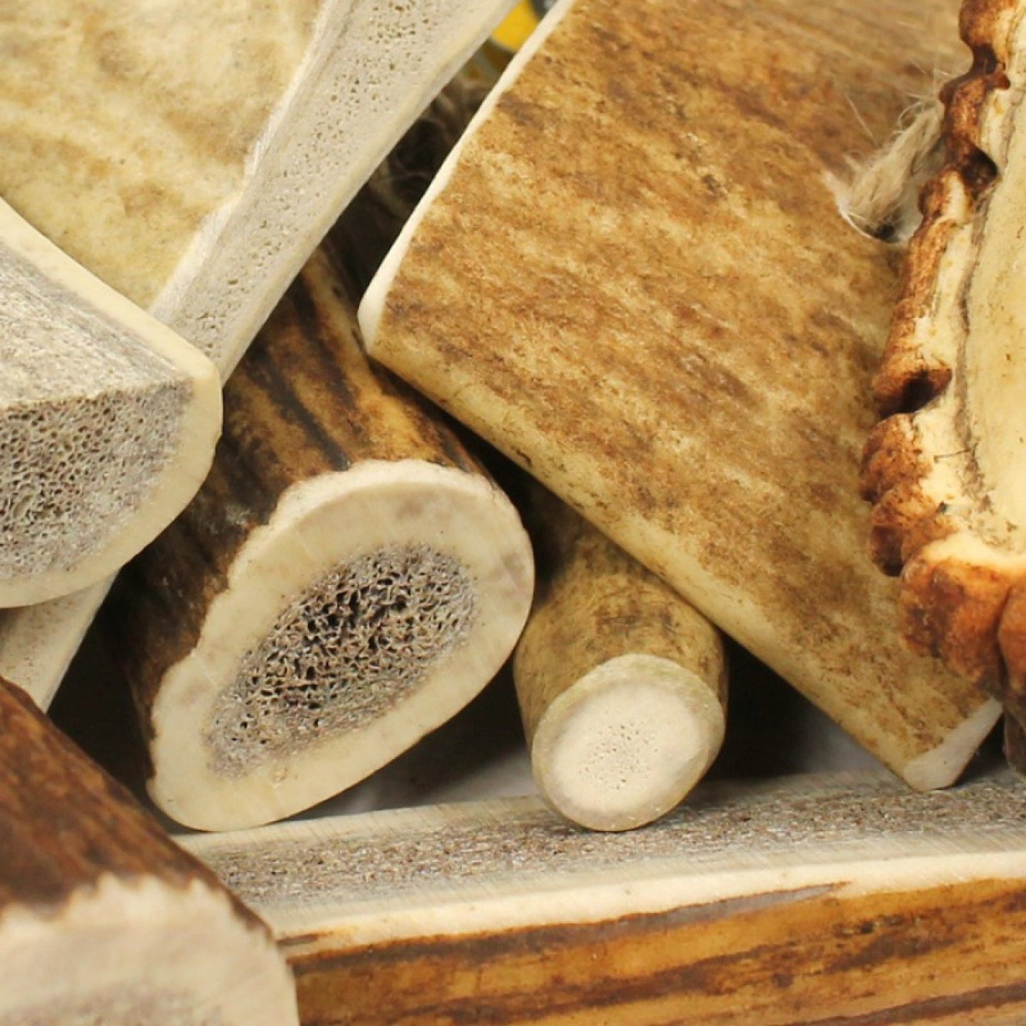 GREEN & WILD'S Original Antler Chew