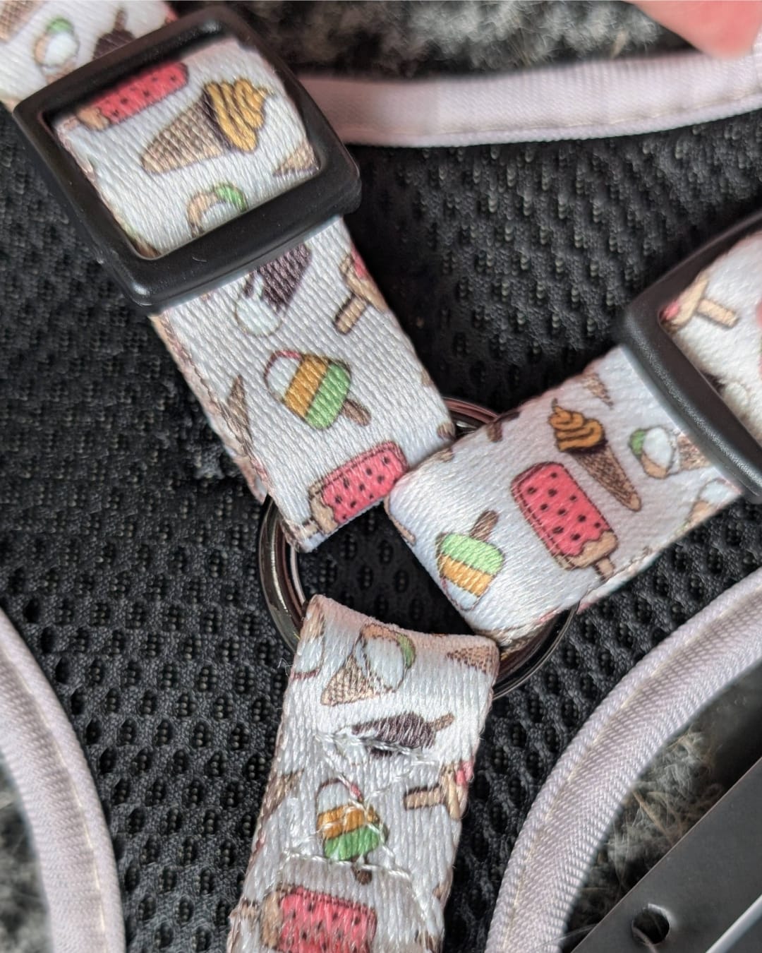 MILLER & ROSE Ice Cream Dream Classic Harness