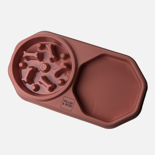 4-in-1 Salmon Pink Slow Feeder image 1