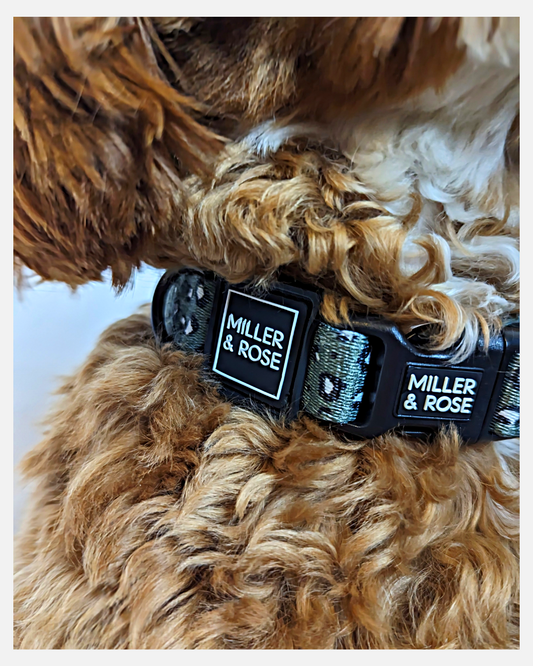 Olive Leopard Classic Collar image 1