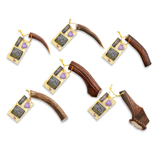 GREEN & WILD'S Original Antler Chew