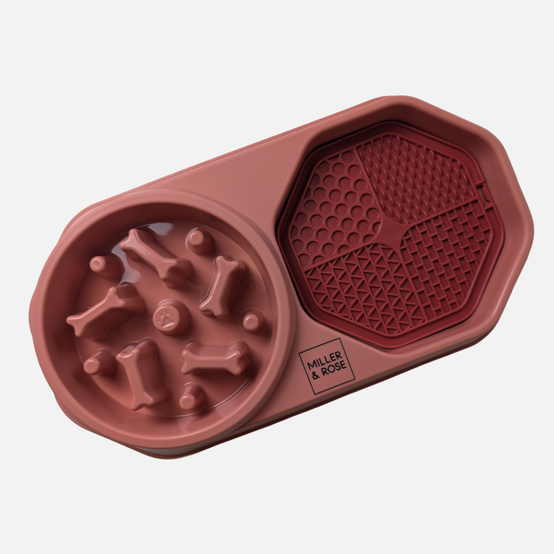 4-in-1 Salmon Pink Slow Feeder image 2