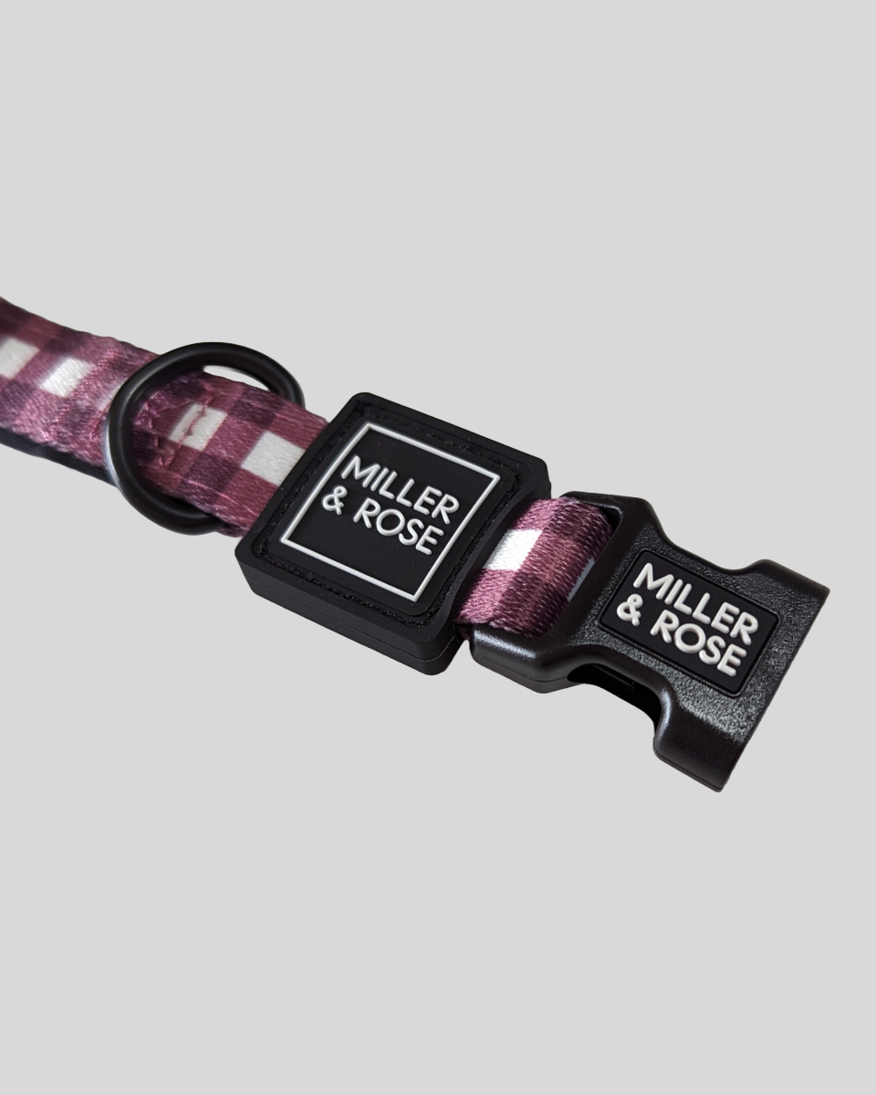 Gorgeous Gingham Classic Collar image 4