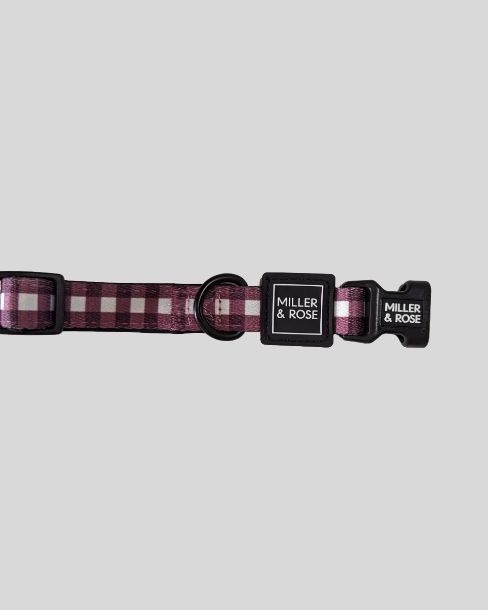 Gorgeous Gingham Classic Collar image 2