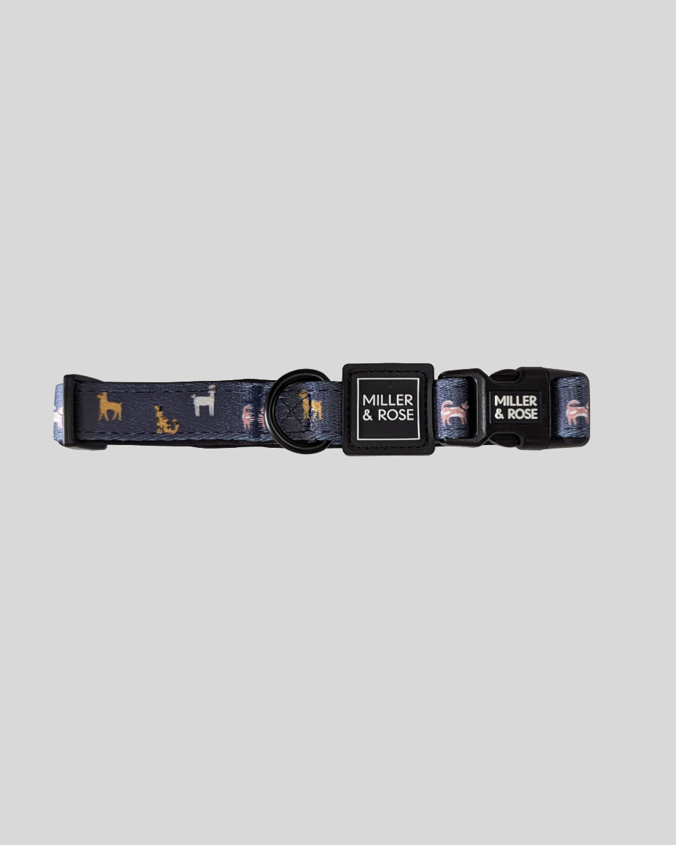 Dapper Dogs Classic Collar image 2