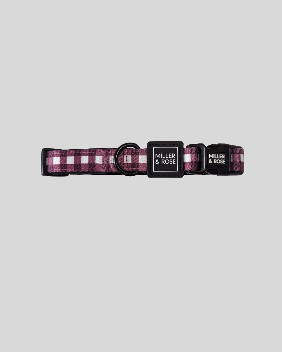 Gorgeous Gingham Classic Collar image 3