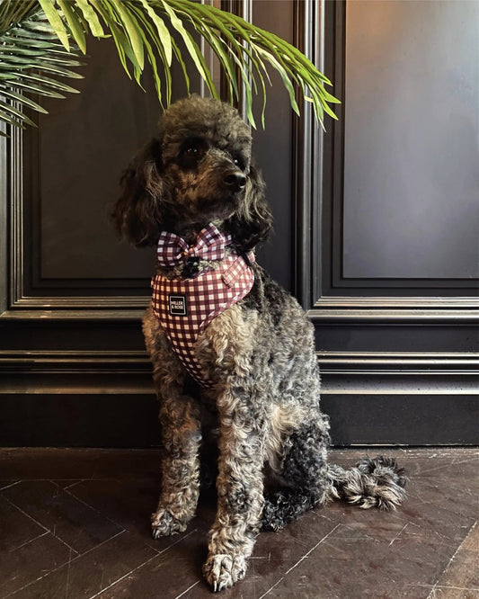 Gorgeous Gingham Classic Harness image 1
