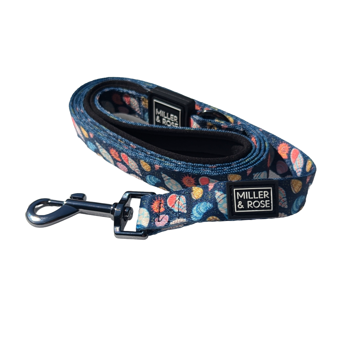 Seashells Classic Lead image 0