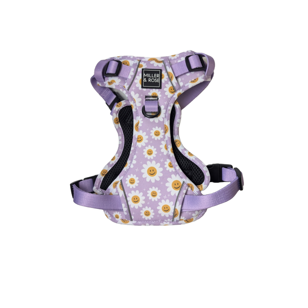 HAPPY DAISY - Ruff & Tough Harness image 0