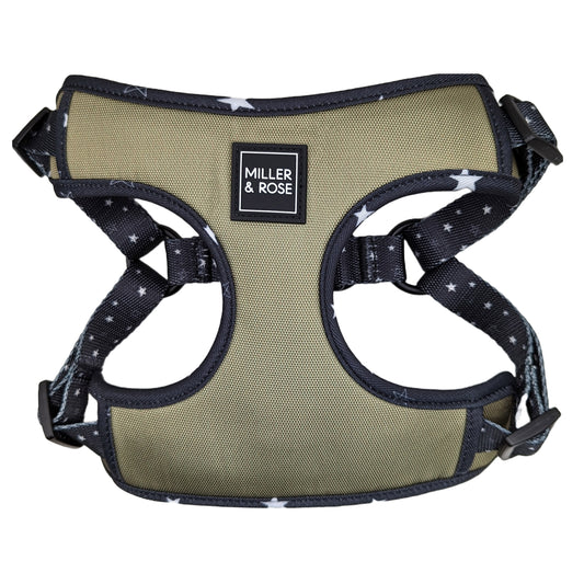 Twinkle Twinkle Oxford Luxe Harness image 0