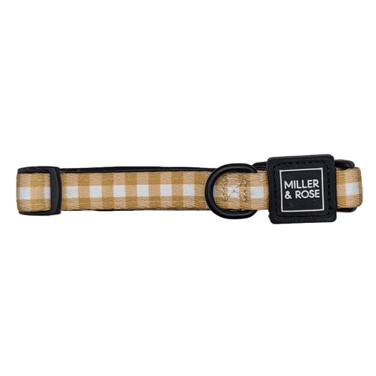 Golden Gingham Classic Collar image 0