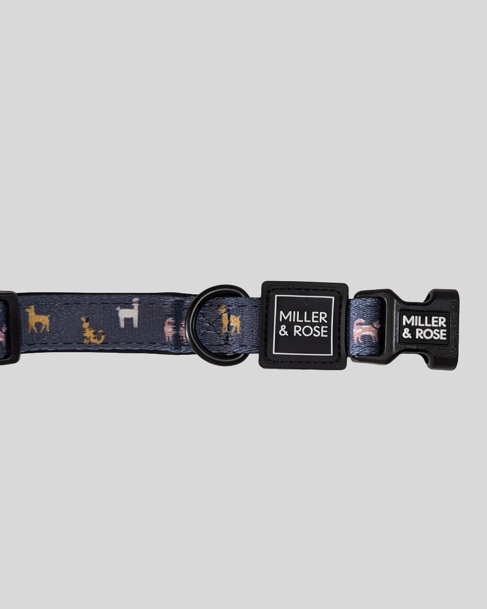 Dapper Dogs Classic Collar image 3