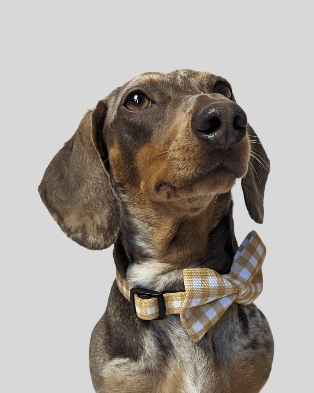 Golden Gingham Bow Tie image 2