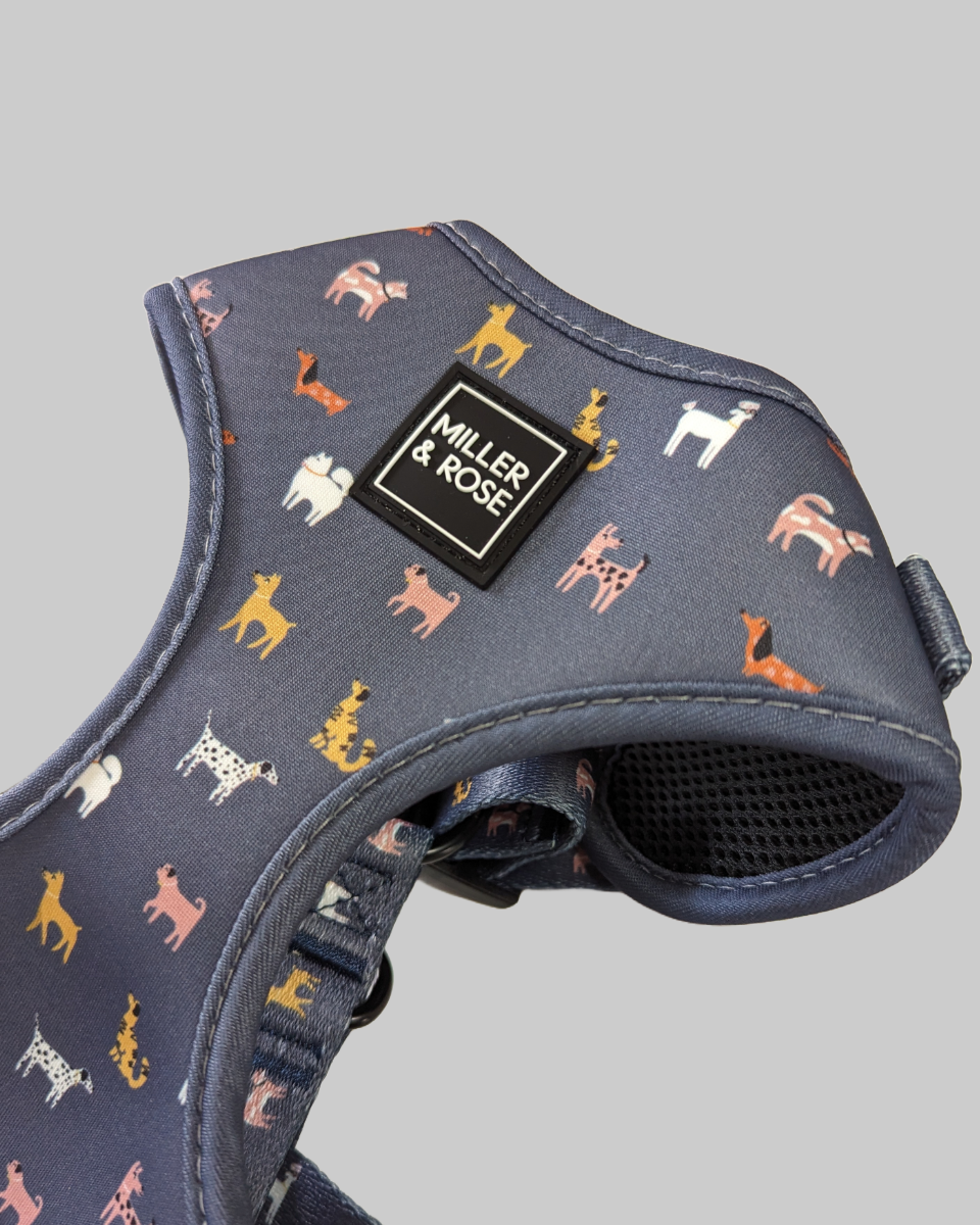 Dapper Dogs Classic Harness image 3