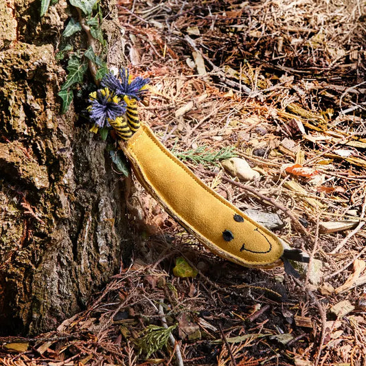 Green & Wild's Barry the Banana