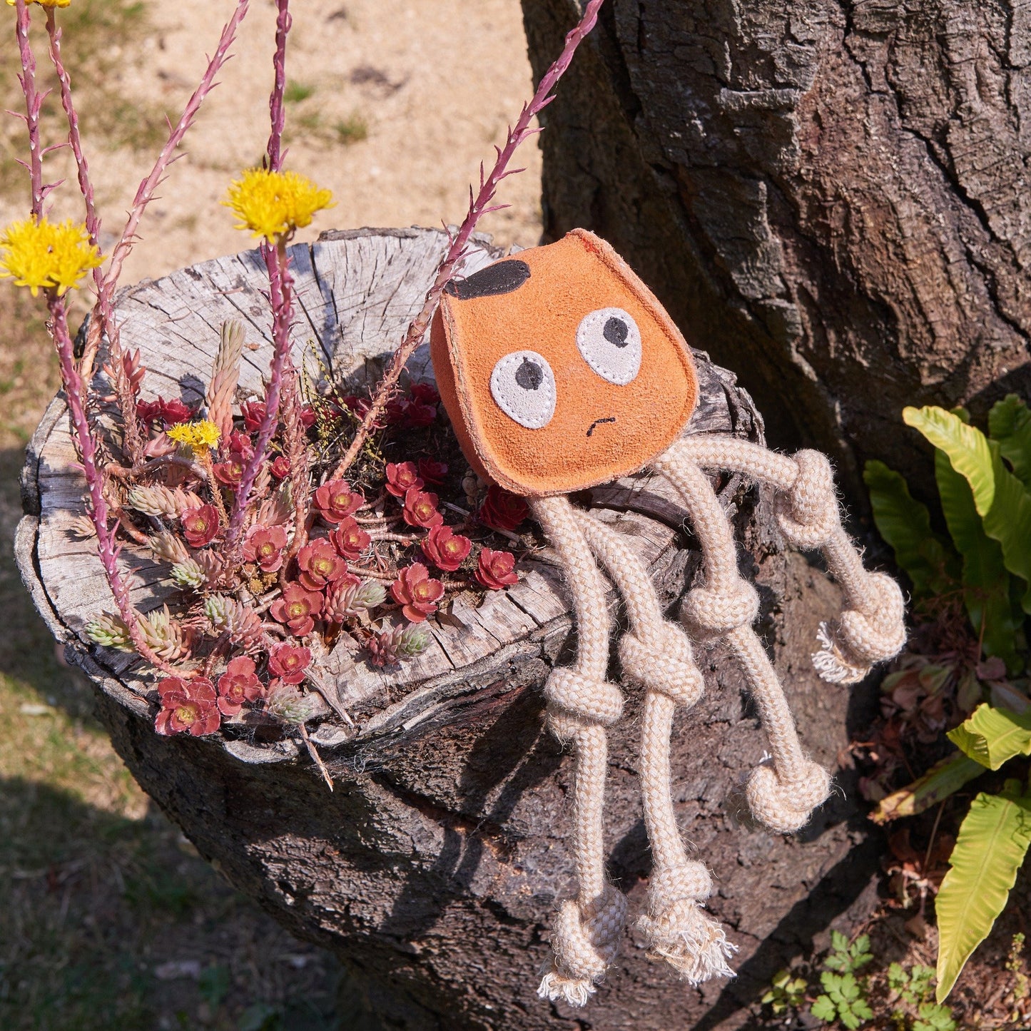 GREEN & WILD'S Sid the Squid