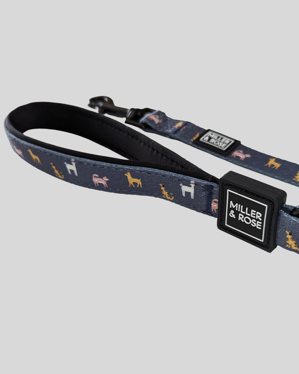 Dapper Dogs Classic Lead image 0
