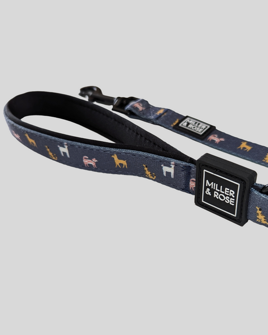 Dapper Dogs Classic Lead image 0