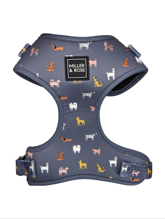 Dapper Dogs Classic Harness image 0