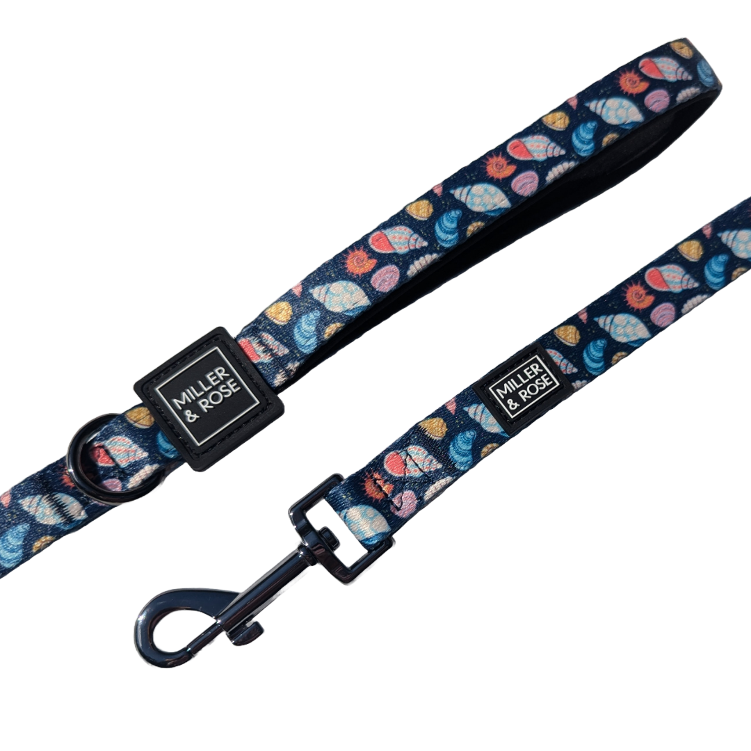 Seashells Classic Lead image 2