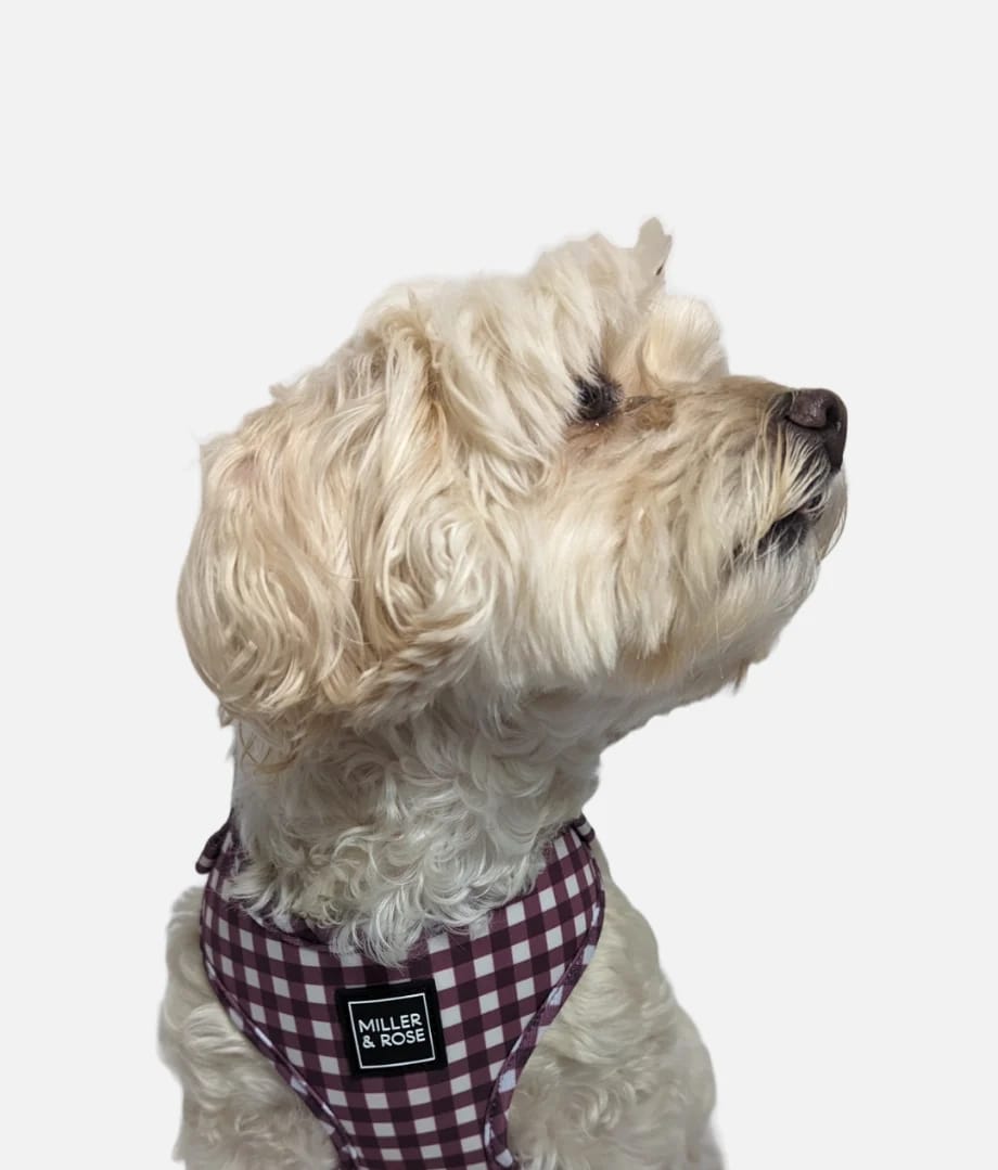 Gorgeous Gingham Classic Harness image 3
