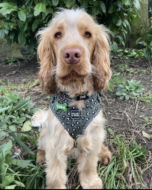 Olive Leopard Classic Harness image 1
