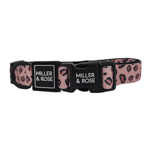 Rose Leopard Classic Collar image 0