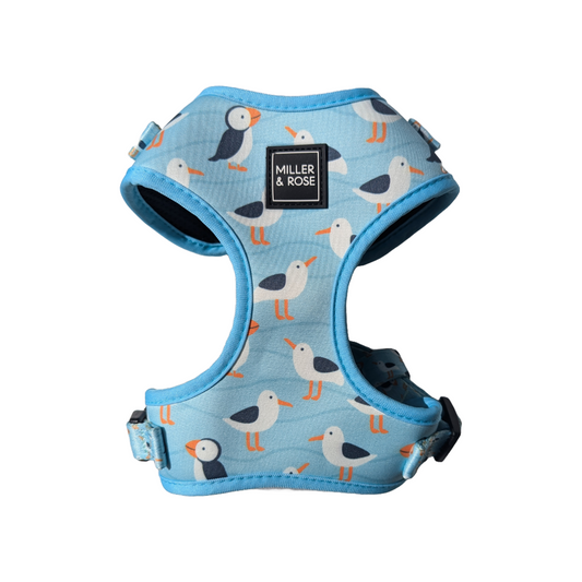 Seabirds Classic Harness image 0
