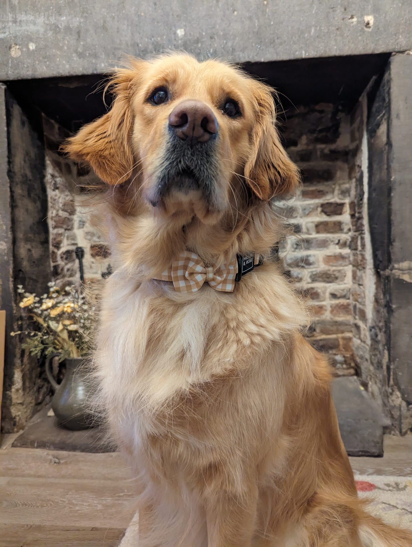 Golden Gingham Bow Tie image 3