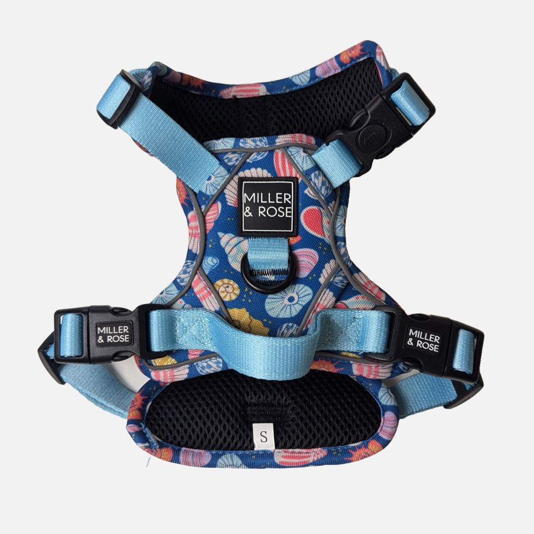SEASHELLS - Ruff & Tough Harness image 7