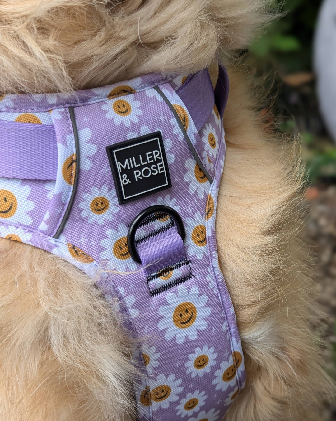 HAPPY DAISY - Ruff & Tough Harness image 5
