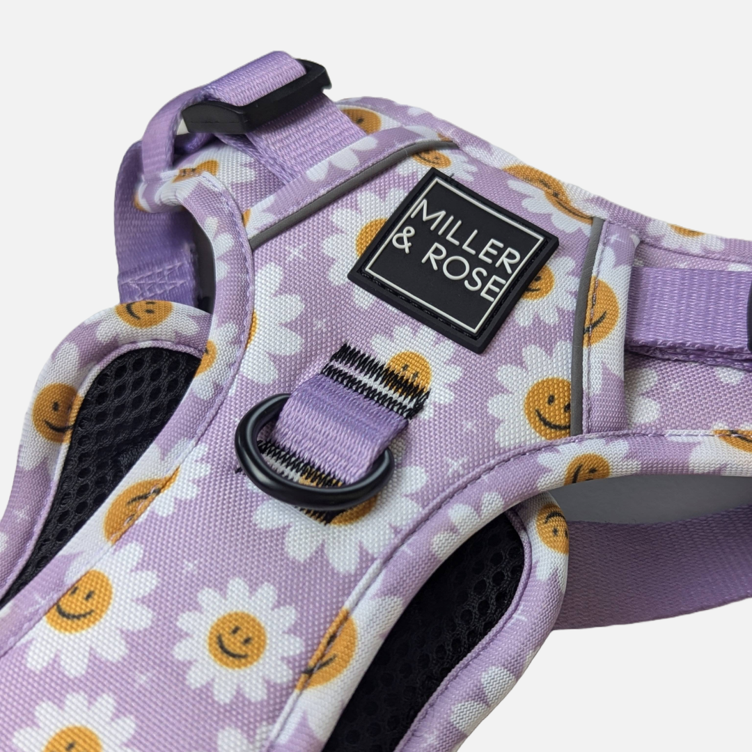 HAPPY DAISY - Ruff & Tough Harness image 2