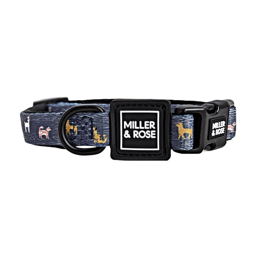Dapper Dogs Classic Collar image 0